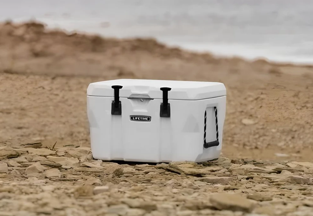 portable ice cream cooler box