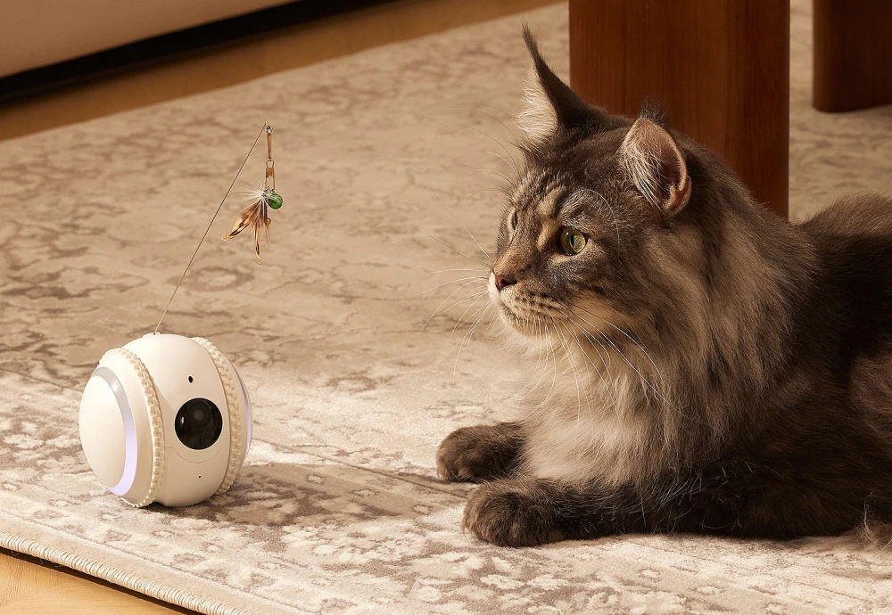 pet camera that moves