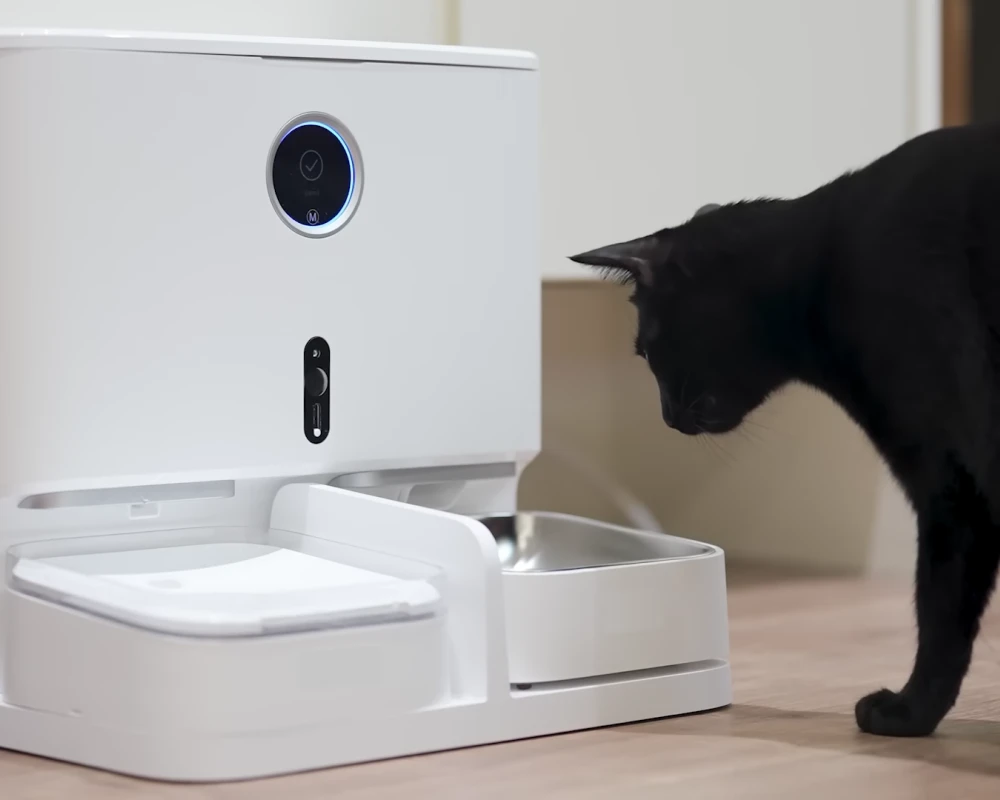 automatic pet feeder